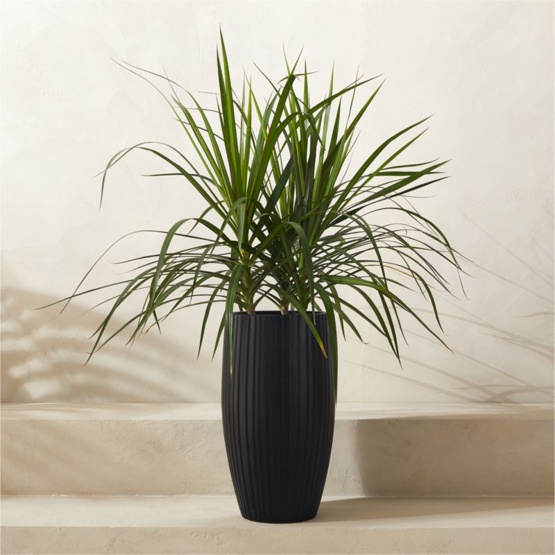 View Zadie Black Resin Indoor/Outdoor Medium Planter 19.75" details