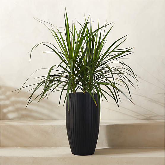 Zadie Black Resin Indoor/Outdoor Planter Small