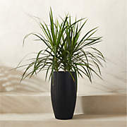 Zadie Black Resin Indoor/Outdoor Medium Planter 19.75