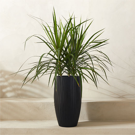 Zadie Black Resin Indoor/Outdoor Medium Planter 19.75"H