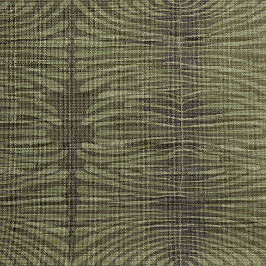 Zebra Green Wallpaper