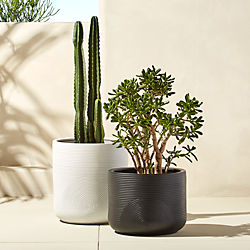 Modern Planters And Garden Pots Cb2 Zen Planters