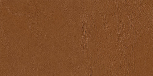 Zoom Dakota Leather in Tobacco