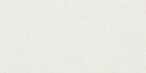 Zoom Curious Fabric in Linen