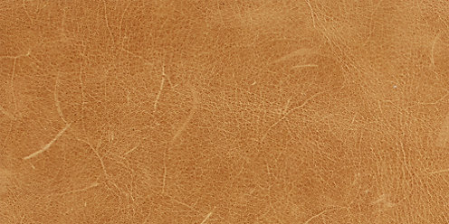 Zoom Dakota Leather in Harvest