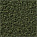Teddy Green