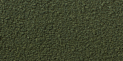 Zoom Teddy Fabric in Green