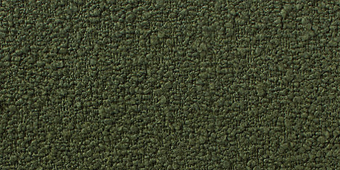 Zoom Teddy Fabric in Green