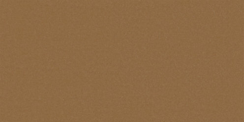 Zoom Nova Fabric in Camel