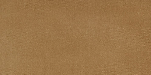 Zoom Logan Fabric in Camel