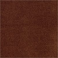 Nova Bronze