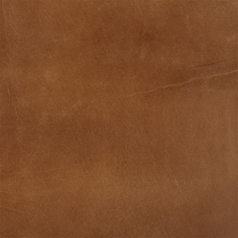 Zoom Hyacinth Leather in Tanned