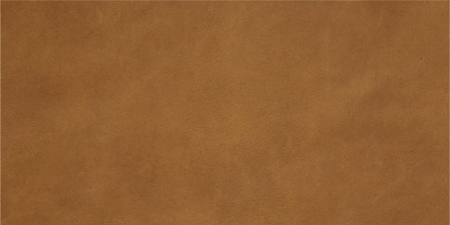 Zoom Davenport Leather in Nut