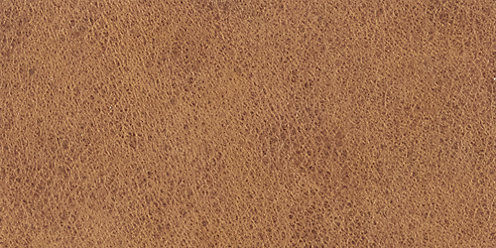 Zoom Winchester Leather in Sycamore
