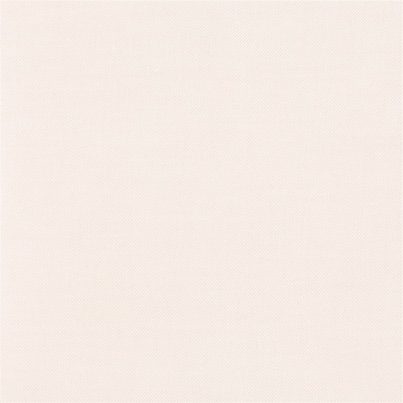 Zoom Flagship Fabric in Salt