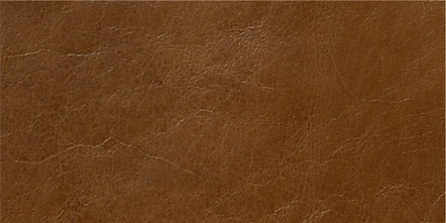 Zoom Dakota Leather in Molasses