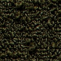 Bloce Juniper