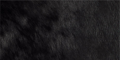 Zoom Adeline Leather in Black