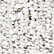 Illecebrous Sandstone