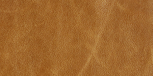 Zoom Wessex Leather in Honey