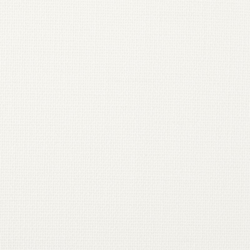 Zoom Praise Fabric in Pristine