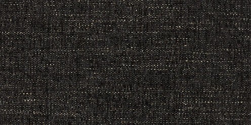 Zoom Curious Fabric in Ebony