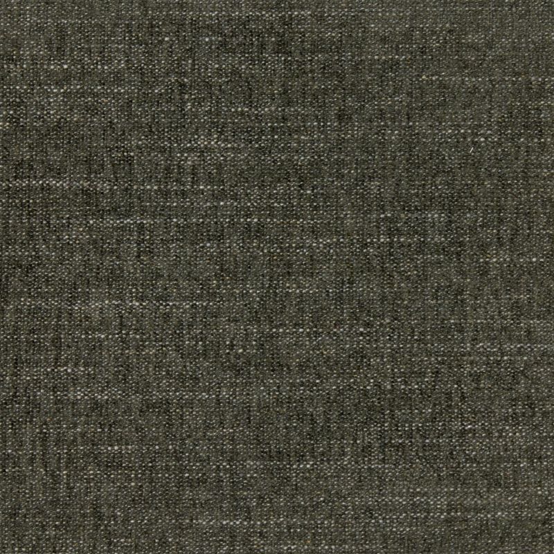 Zoom Curious Fabric in Evergreen