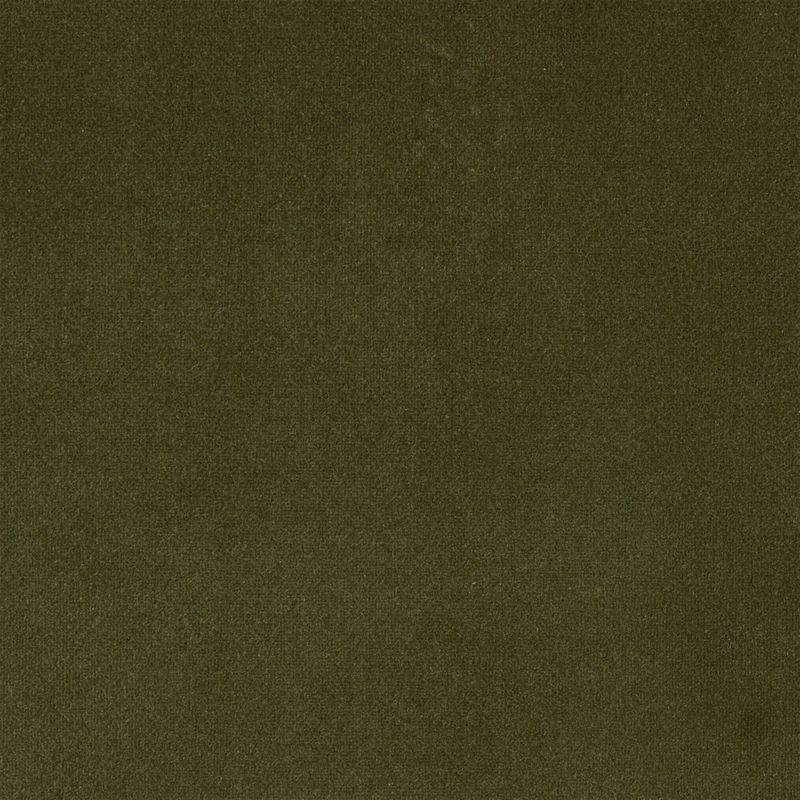 Zoom Luca Fabric in Juniper