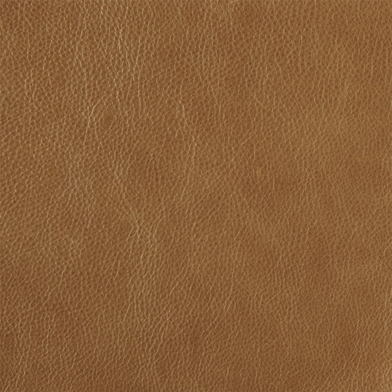 Zoom Spriha Leather in Walnut