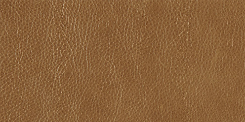 Zoom Spriha Leather in Walnut