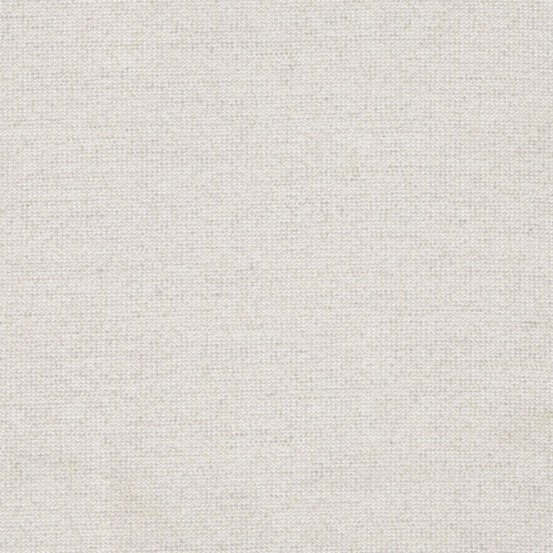 Zoom Demo Fabric in Putty