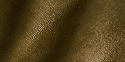 Zoom Haven Leather in Marsh