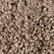Hastings Mushroom