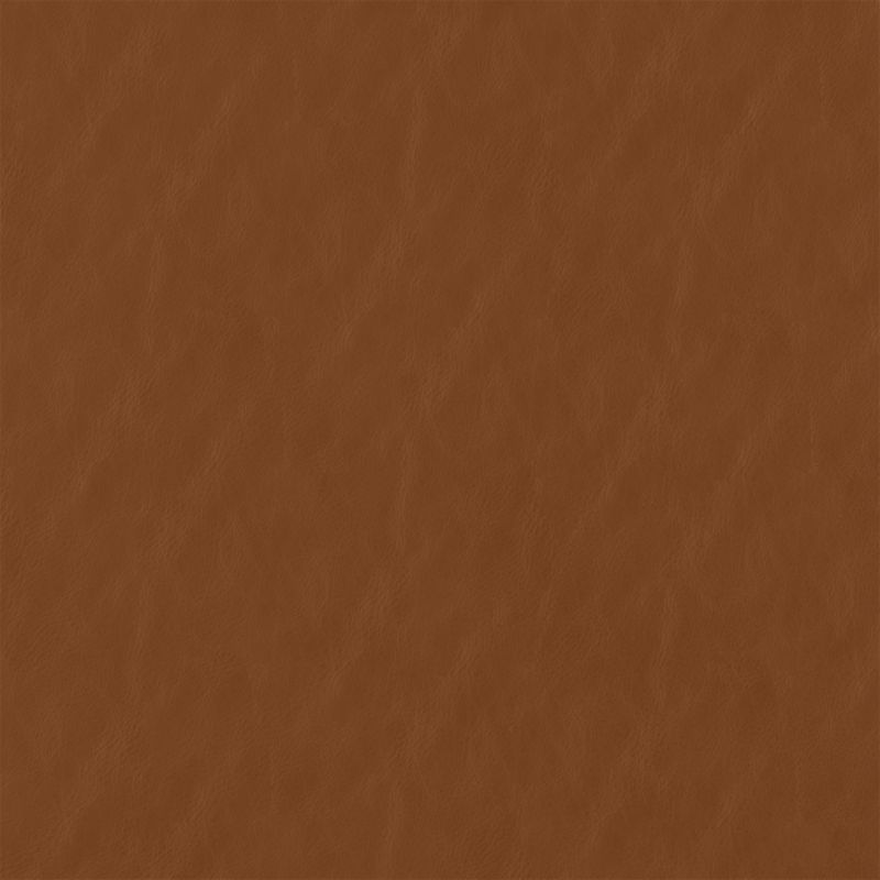 Zoom Mayim Leather in Brown
