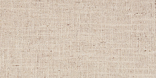 Zoom Artisan Fabric in Barley