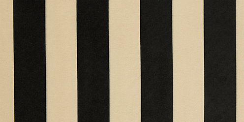 Zoom Stripe Fabric in Black and White