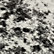 Angelo Speckled Black
