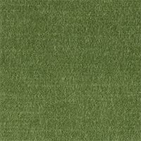Cannes Sage