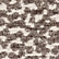 Spotty Dotty Woodland