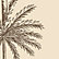 CB2 Palm Tree Neutral