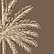 CB2 Palm Tree Brown