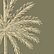 CB2 Palm Tree Green
