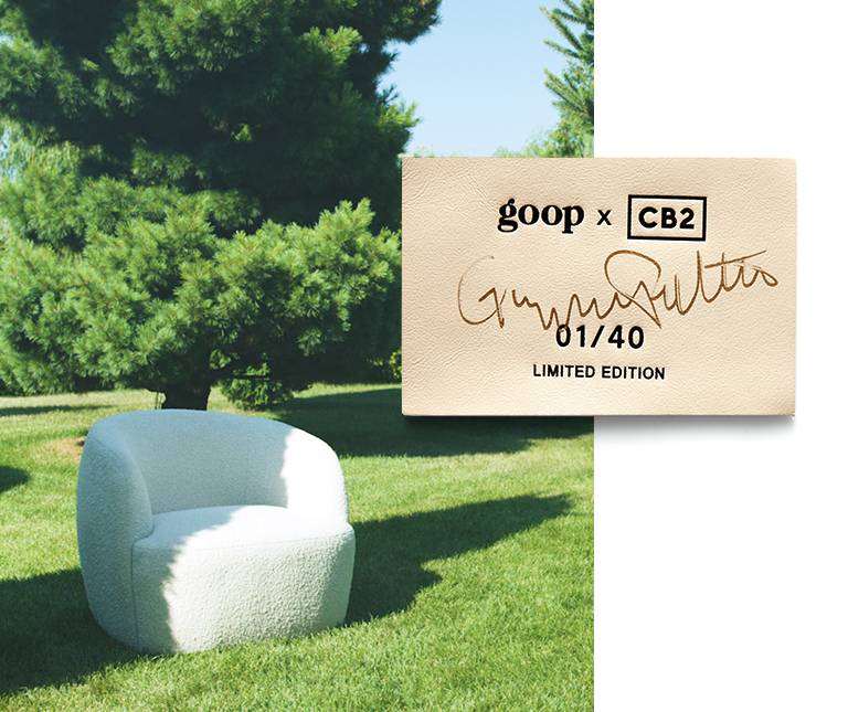 Goop best sale chair cb2