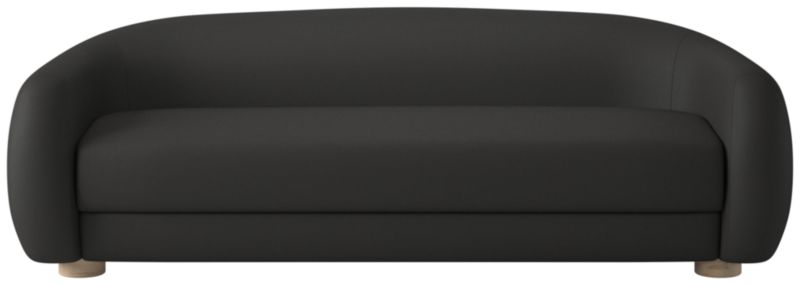 Laszlo Apartment Sofa Kanvas Ebony by Ross Cassidy - image 0 of 7